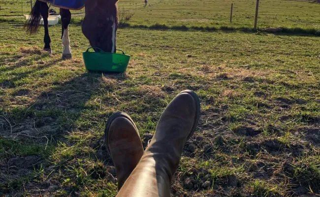 Fairfax & Favor Boots looking at Colin